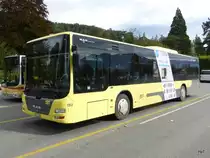 STI - MAN Lion`s City Nr.152 BE 801152 in Thun am 08.10.2014