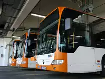 Drei RNV Mercedes Benz Citaro C1 Facelift G am 18.10.14 beim Tag der Offenen Tür im RNV Betriebshof Mannheim 