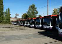 Ein Reihe Mercedes Benz Citaro C1 Facelift für Singapur am 18.10.14 in Mannheim bei Evo Bus durch den Zaun fotografiert auf einen öffentlichen Parkplatz
