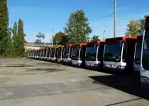 Ein Reihe Mercedes Benz Citaro C1 Facelift für Singapur am 18.10.14 in Mannheim bei Evo Bus durch den Zaun fotografiert auf einen öffentlichen Parkplatz