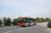TMB, Barcelona. MAN/Castrosua CS40 City Versus CNG (Nr.1736) in Carrer Dr. Font Quer. (22.10.2014)