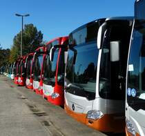 Viele neue Mercedes Benz Citaro C2 am 18.10.14 in Mannheim bei Evo Bus durch den Zaun fotografiert auf einen öffentlichen Parkplatz