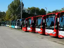 Mercedes Benz Citaro C2 Parade am 18.10.14 in Mannheim bei Evo Bus durch den Zaun fotografiert auf einen öffentlichen Parkplatz