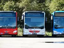 Ein neuer Mercedes Benz Citaro C2 am 18.10.14 in Mannheim bei Evo Bus durch den Zaun fotografiert auf einen öffentlichen Parkplatz