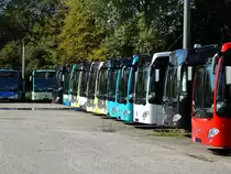 Viele neue Mercedes Benz Citaro C2 am 18.10.14 in Mannheim bei Evo Bus durch den Zaun fotografiert auf einen öffentlichen Parkplatz