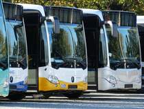 Zwei neue Mercedes Benz Citaro C2 am 18.10.14 in Mannheim bei Evo Bus durch den Zaun fotografiert auf einen öffentlichen Parkplatz