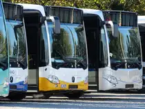 Zwei neue Mercedes Benz Citaro C2 am 18.10.14 in Mannheim bei Evo Bus durch den Zaun fotografiert auf einen öffentlichen Parkplatz