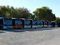 Ein paar neue Mercedes Benz Citaro C2 am 18.10.14 in Mannheim bei Evo Bus durch den Zaun fotografiert auf einen öffentlichen Parkplatz