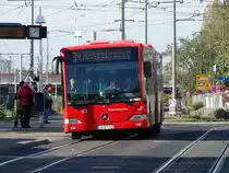 DB Rhein Neckar Bus Mercedes Benz Citaro C1 G 24.10.14 in Heidelberg auf der Linie 34 