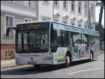 Mercedes Citaro II der Stadtwerke Greifswald in Greifswald am 26.07.2013