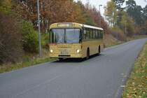 Sonderfahrt für den Büssing E2H (B-BZ 1957H) aufgrund des Jubiläum 25 Jahre Mauerfall. Sonderlinie bzw. wieder aufgenommener Betrieb auf der Linie E zwischen Wannsee und Drewitz (Dreilinden). Aufgenommen am 09.11.2014 Dreilindener Weg in Kleinmachnow. 