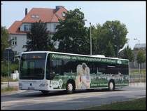 Mercedes Citaro II der Stadtwerke Greifswald in Greifswald am 26.07.2013