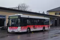 BGU: Der einzige MAN Bus des Busbetriebes Grenchen und Umgebung wird Ende Jahr ausrangiert. Am 15. November 2014 wurde der Wagen mit der Nummer 8 auf dem Bahnhofplatz Grenchen Süd verewigt.
Foto: Walter Ruetsch