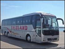 MAN Lion's Coach von Haubold Reisen aus Deutschland im Stadthafen Sassnitz am 05.08.2013