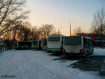 29.11.2011 Feierabend auf dem (inzwischen ehemaligen) Betriebsteil in Bandenburg, der VGBelzig haben sich die meisten Fahrzeuge eingefunden und warten auf ihre Fahrt zum Betriebshof der VBBr um wieder im grün-weiss zu erstrahlen. Rechts im Bild erkennt man das Heck eines MAN Lion`s City Ü, es handelt sich um den  Ausrutscher  des Unternehmens, BRB-VK 18 welcher inzwischen auf PM-E 298 umgemeldet wurde. (Baujahr 2011)