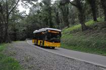 AutoPostale del Malcantone, Croglio. Scania/Hess K320UB (TI 245'222) zwischen Arosio und Gravesano. (18.8.2014)