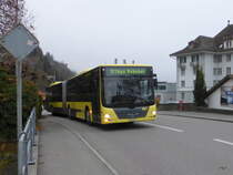 STI - MAN Lion`s City Nr.146  BE 801146 unterwegs auf der Linie 21 in Gunten am 05.12.2014