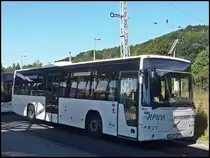 Volvo 8700 der RPNV in Sassnitz 11.08.2013