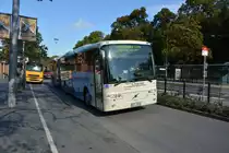 BFT 053 (Volvo 8500) am 18.09.2014 Stockholm Djurgårdsvägen.  BFT 053 (Volvo 8500) am 18.09.2014 Stockholm Djurgårdsvägen.	
