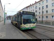 24.12.2013 - Wagen 530, ein Citaro I in der Brandenburger Großen-Gartenstraße
