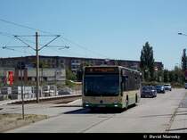 Ein Citaro II der VBBr, am 22. Juli 2013 in Brandenburg am Tschirchdamm (Hohenstücken).