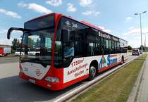 15. Juni 2013 Wagen 344, ein Mercedes-Benz Citaro Ü I der CV-Cottbus wartet fährt in wenigen Minuten zum Dienstantritt los. Vielen Dank an Steven S. für das Foto, meine Person findet sich hinter dem Steuer des Fahrzeuges wieder :) 