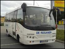 Caetano Optimo von De R�ganer aus Deutschland in Bergen am 19.08.2013