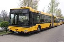 Ein MAN NG313 am 04.04.2014 auf dem Busbetriebshof der DVB, Dresden.