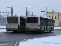 28.01.2014 PM-E 290 der VGBelzig am ZOB in Brandenburg an der Havel. Er ist einer der letzten Citaro Ü I auf BT Brandenburg.