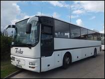 MAN �L 363 vom Reisedienst Teske aus Deutschland in Bergen am 23.08.2013