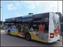 MAN Lion's City/Caetano der RPNV in Bergen am 23.08.2013