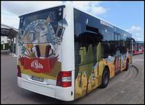 MAN Lion's City/Caetano der RPNV in Bergen am 23.08.2013