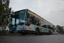 Am 15.10.2014 steht P-AV 906 (Mercedes Benz O530) am Jungfernsee in Potsdam.
