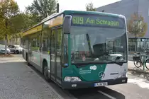 Am 15.10.2014 steht P-AV 906 (Mercedes Benz O530) Am Schragen in Potsdam.
