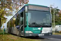 P-AV 982 auf der Linie 605 am 18.10.2014. Aufgenommen wurde Mercedes Benz O530 Facelift in Potsdam Golm.
