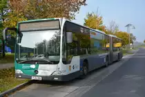 P-AV 982 auf der Linie 605 am 18.10.2014. Aufgenommen wurde Mercedes Benz O530 Facelift in Potsdam Golm.
