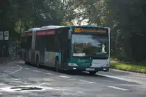 P-AV 983 fährt am 18.10.2014 auf der Linie 605 nach Potsdam Golm. Aufgenommen wurde Mercedes Benz O530, Potsdam Neues Palais.

