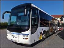 MAN Lion's Regio der RPNV in Bergen am 27.08.2013