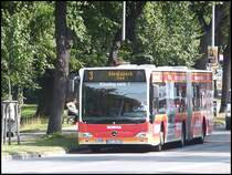 Mercedes Citaro II der Stadtwerke Stralsund in Stralsund am 29.08.2013