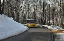 AutoPostale della Capriasca, Tesserete. Iveco/Rošero First (TI 211'045) zwischen Piandera und Cimadera. (18.2.2015)