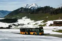 Ein Mercedes-Benz O 530 III Citaro Postauto auf dem Kurs 60.321 Stansstad - Bürgenstock kurz vor der Station Bürgenstock. Heute gab es das Bild mit dem Pilatus bei schönem Wetter; 07.03.2015