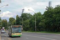 25.08.2014 Wagen 537 der VBBr verlässt das Stadion in Richtung Hohenstücken (Nord). (Citaro I) 