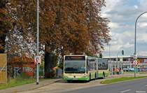 25.08.2014 Wagen 594 (Citaro G II) der VBBr an der Haltestelle Industriemuseum/Stadion. 