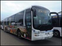 MAN Lion's Regio der RPNV in Bergen am 10.09.2013