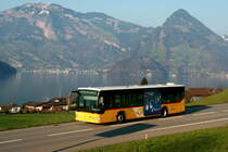 Ein Mercedes-Benz O 530 Citaro Postauto auf dem Kurs 60.311 Seelisberg, Bahnhof - Stans, Länderpark bei der Fahrt entlang des Vierwaldstättersees bei Buochs; 23.03.2015