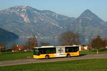 Ein Mercedes-Benz O 530 Citaro Postauto auf dem Kurs 60.311 Seelisberg, Bahnhof - Stans, Länderpark zwischen Beckenried und Buochs; 23.03.2015