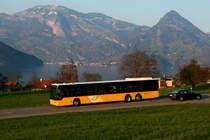Ein Mercedes-Benz O 530 L Citaro Postauto auf dem Kurs 60.311 Seelisberg, Bahnhof - Stans, Länderpark zwischen Beckenried und Buochs; 23.03.2015