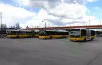 MAN NL 313-15 Wg.1533, MB Citaro Wg.1655 und Solaris Urbino 18 Wg.4198 am S-Bhf. Marzahn, 4.4.15