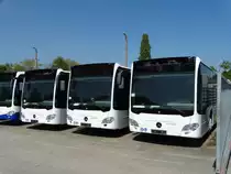 Drei neue Mercedes Benz Citaro C2 am 24.04.15 bei Evo Bus in Mannheim durch den Zaun fotografiert