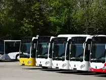 Vier neue Mercedes Benz Citaro C2 am 24.04.15 bei Evo Bus in Mannheim durch den Zaun fotografiert